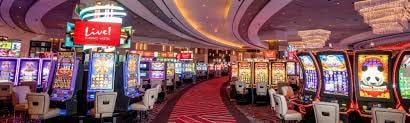Bangladesh adult reviewing mobile slot categories and limits